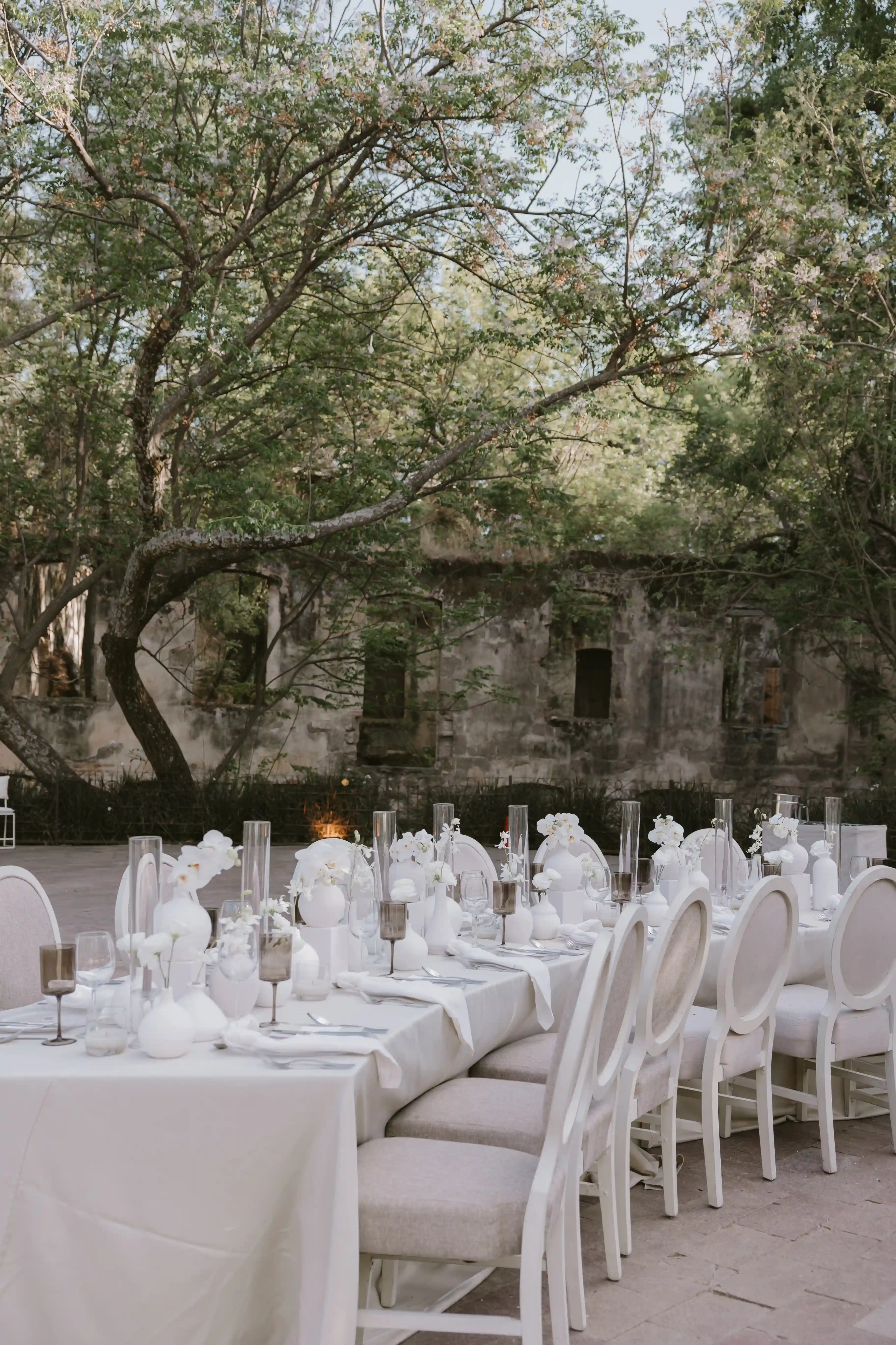 Decoración de ceremonia en bosque