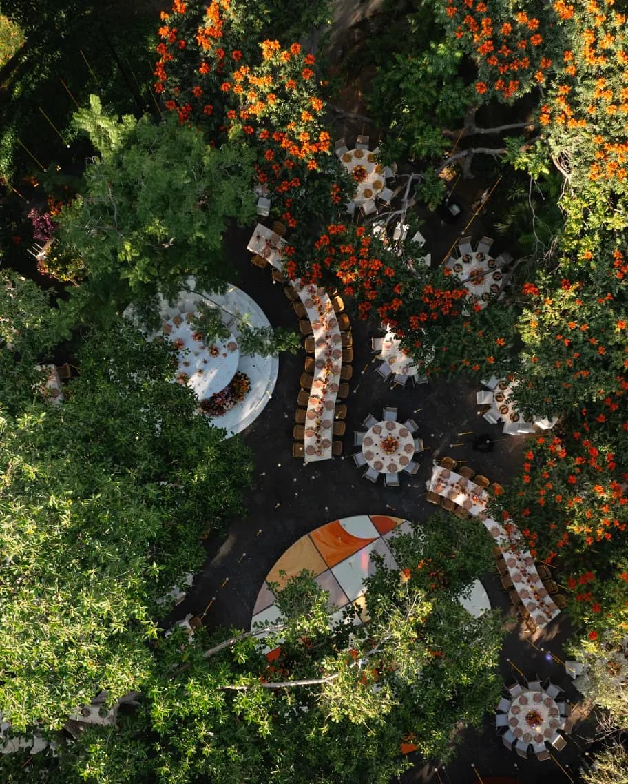 Decoración de ceremonia en bosque